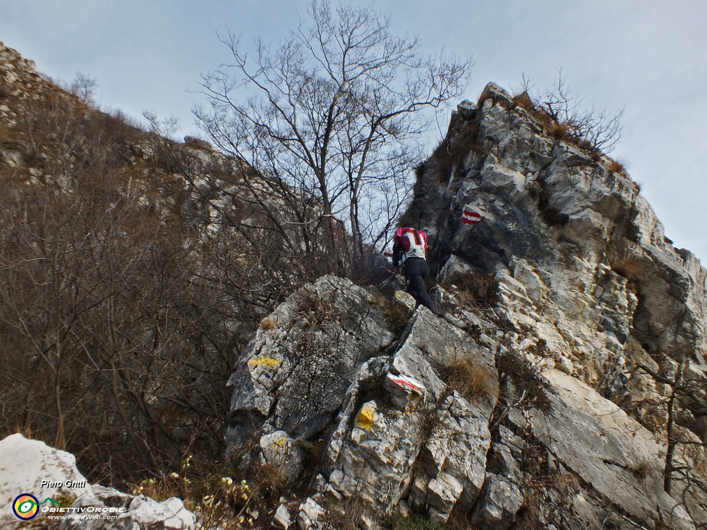 59 si arrampica aiutandosi con le mani.JPG